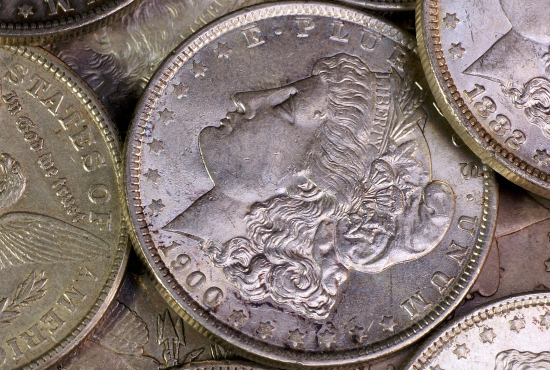 Morgan dollar picture