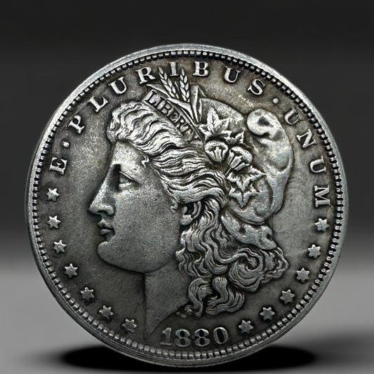 1880 Morgan Dollar Replica Coin Set – 10pcs Iron Collection