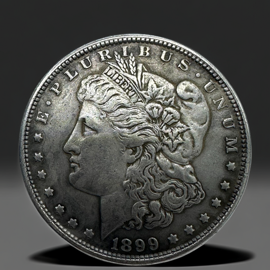 1899 Morgan Dollar Replica Coin Set – 10pcs Historical Collectible Coins